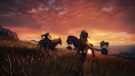 https://images.g2a.com/470x276/1x1x0/elden-ring-pc-steam-key-europe-i10000273674006/9493eb9f8ac5495082b26e0e